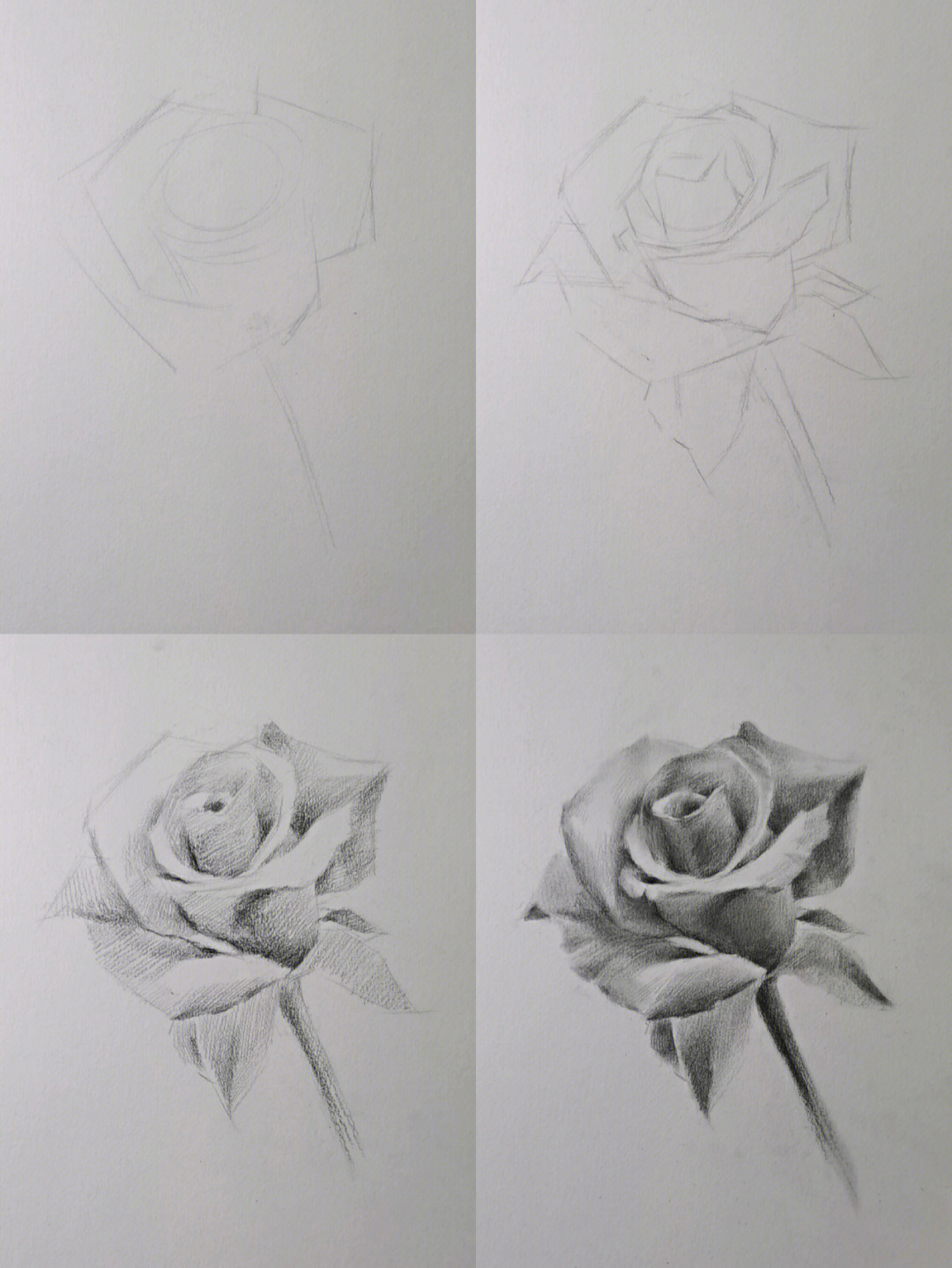 玫瑰花的画法素描图片