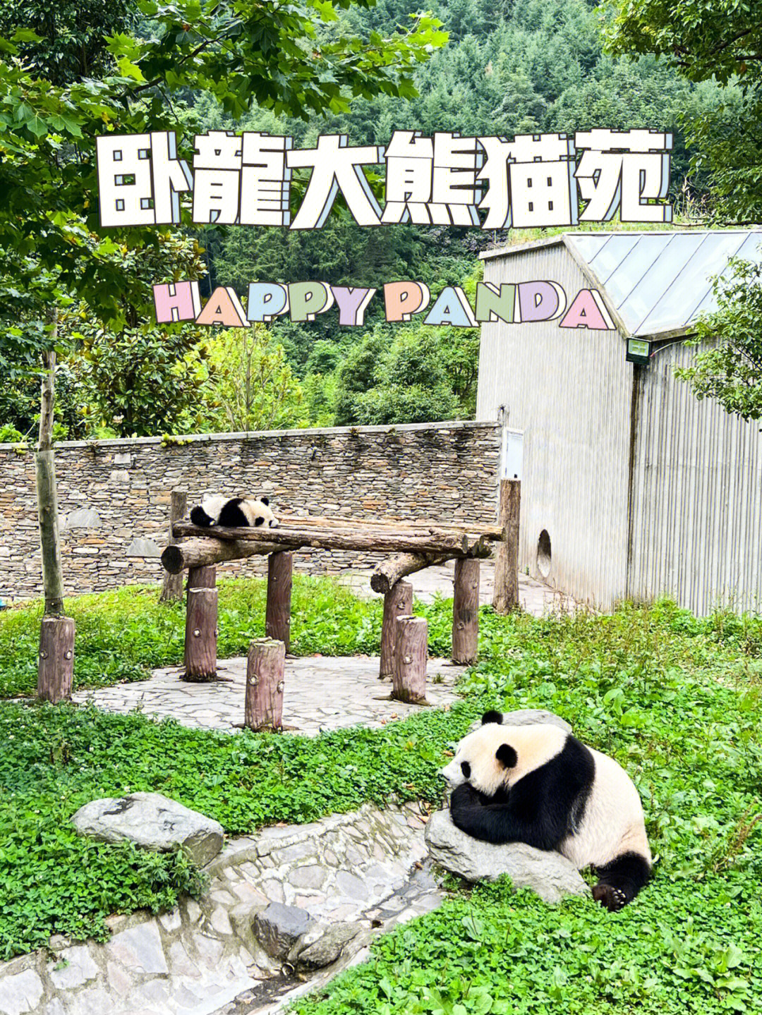 卧龙熊猫基地旅游攻略图片