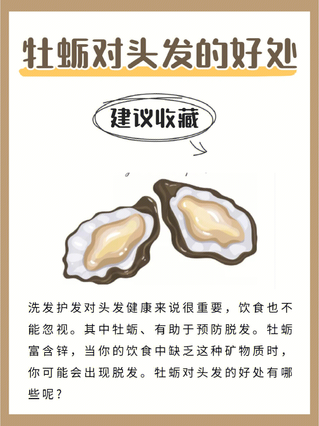 海蛎的作用与功效图片