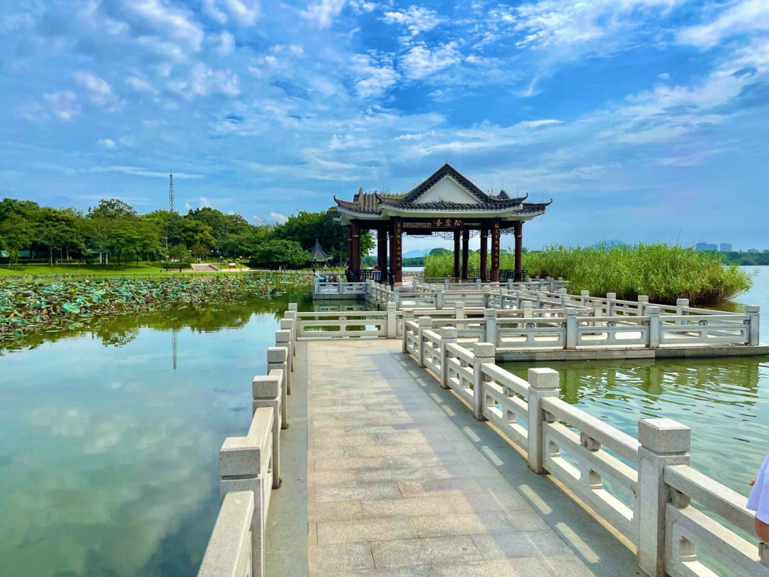 松山湖松湖烟雨图片