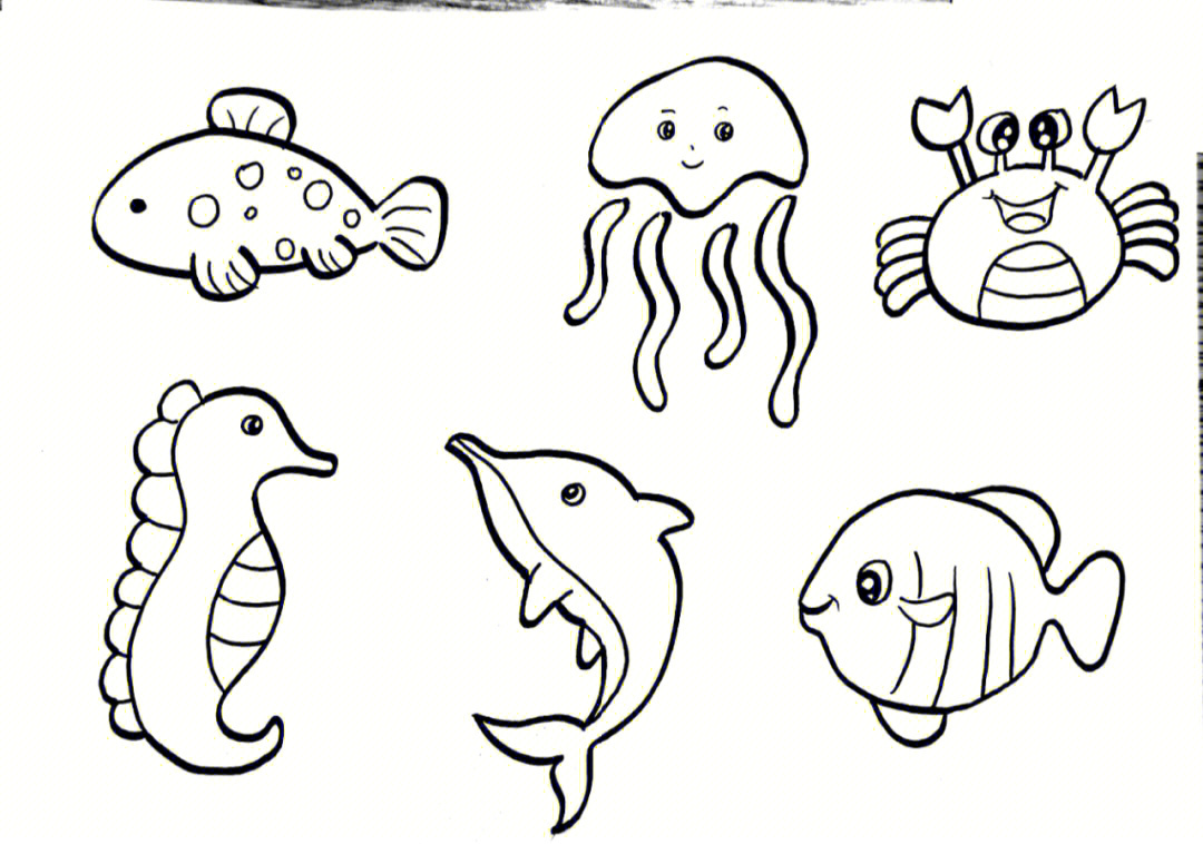 海里动物简笔图片图片