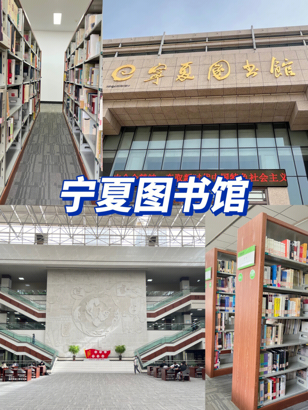 宁夏医科大学图书馆图片