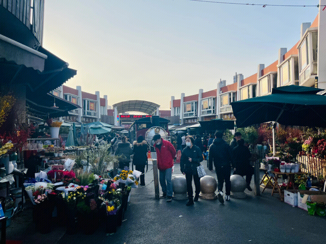 灵石路花鸟市场图片