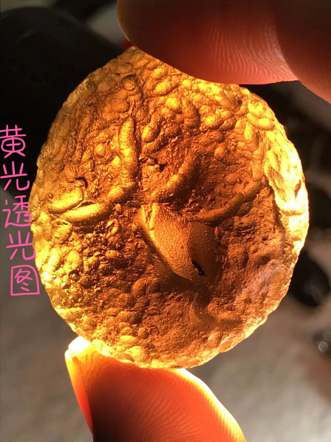 哥伦比亚天狼星陨石图片