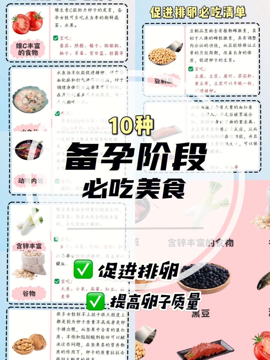 备孕阶段这10种食物常吃能促进排卵提高卵