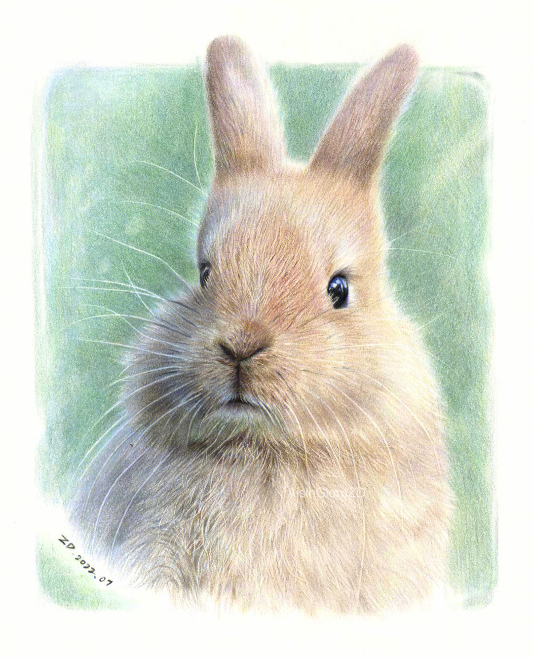 彩铅小兔子最萌图片