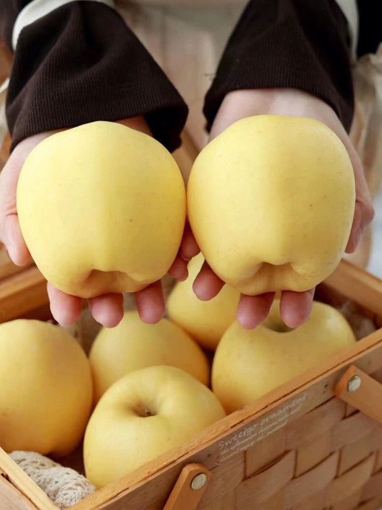 黄胖子维纳斯苹果🍎,高档礼盒装💝