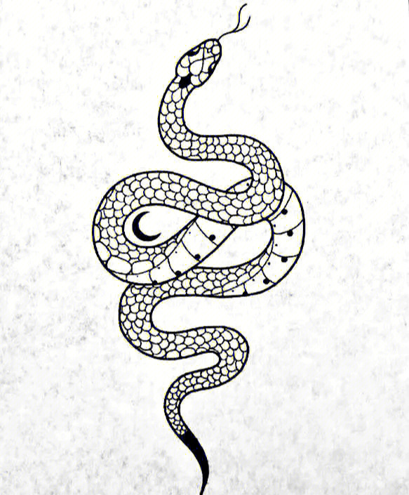 蛇图腾手稿图片