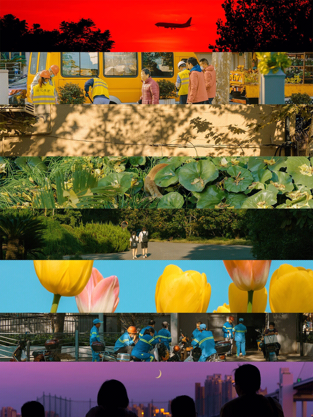 梧桐绿,银杏黄,夏日蓝,络绎不绝的路人,一起构成了上海四季的五颜六色