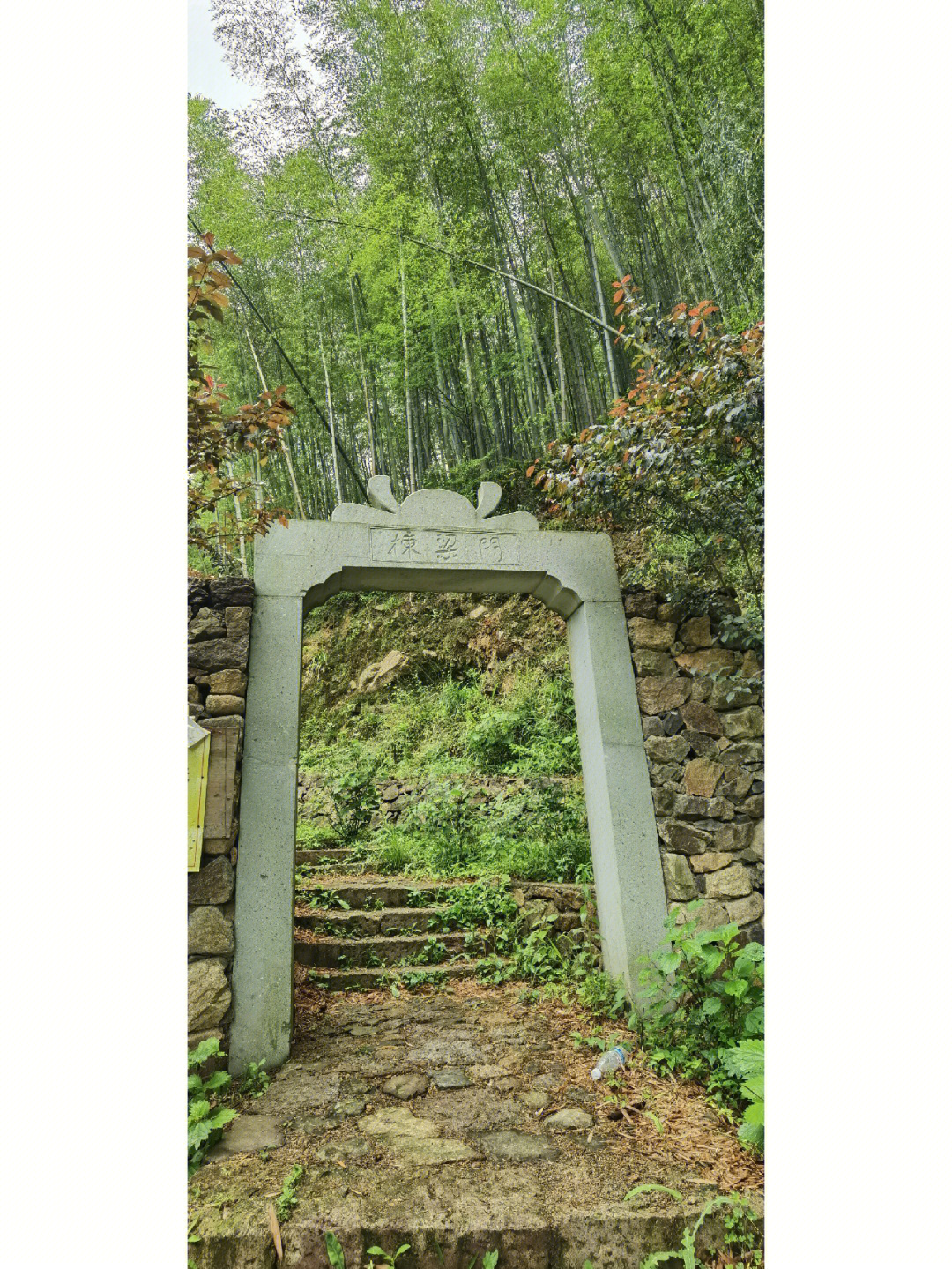 鸬鸟山泗溪村入口图片