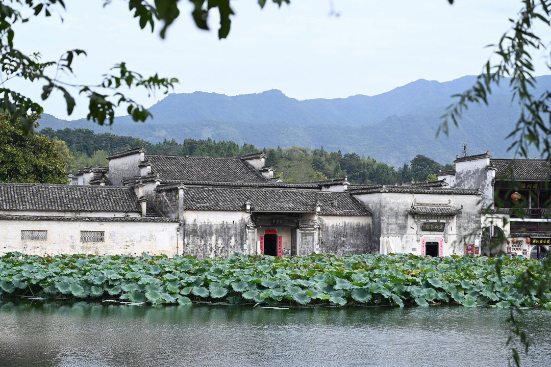 西递宏村牛形图图片