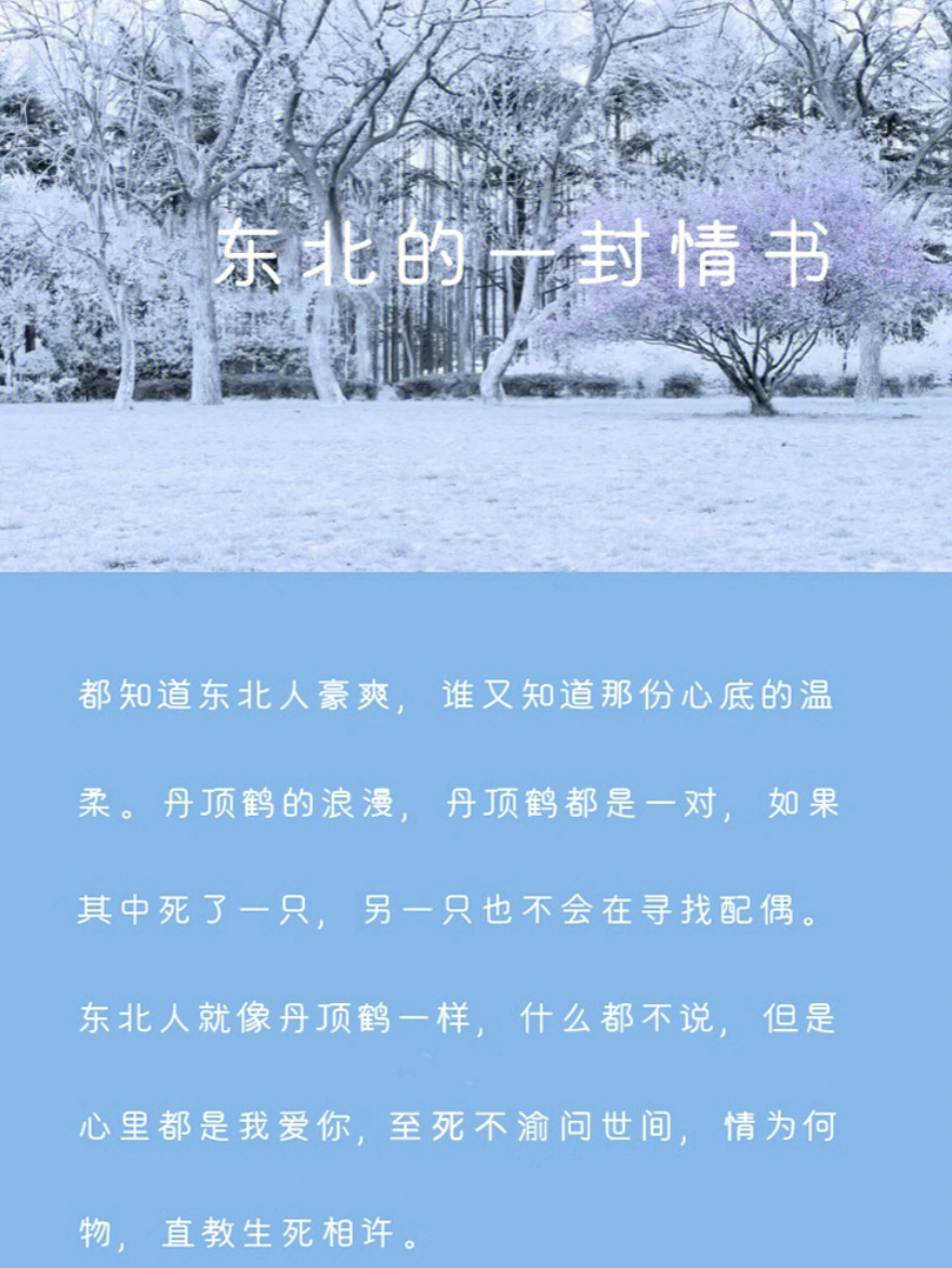 东北的冬歌谱简谱图片