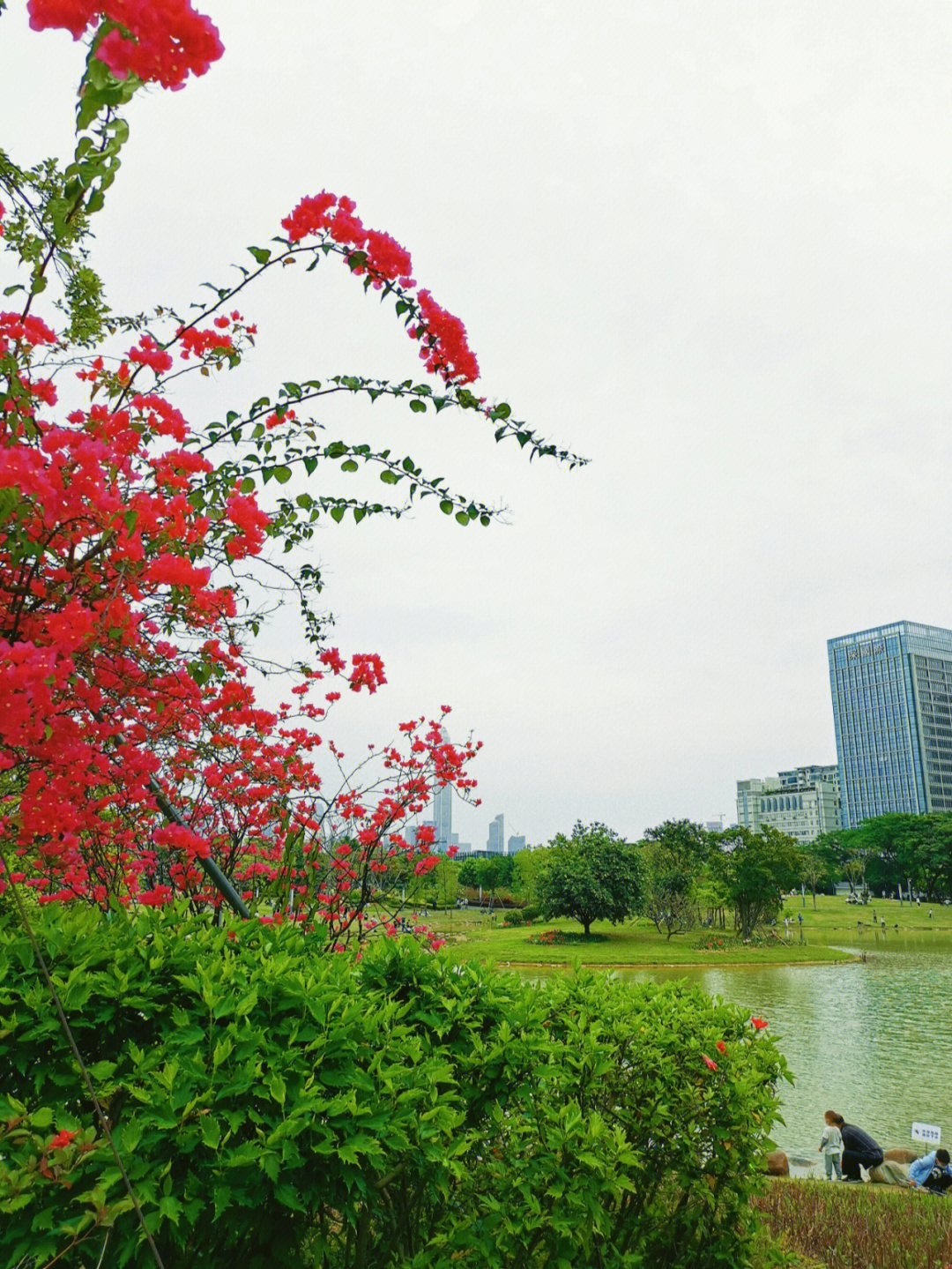 香蜜湖公园电话图片