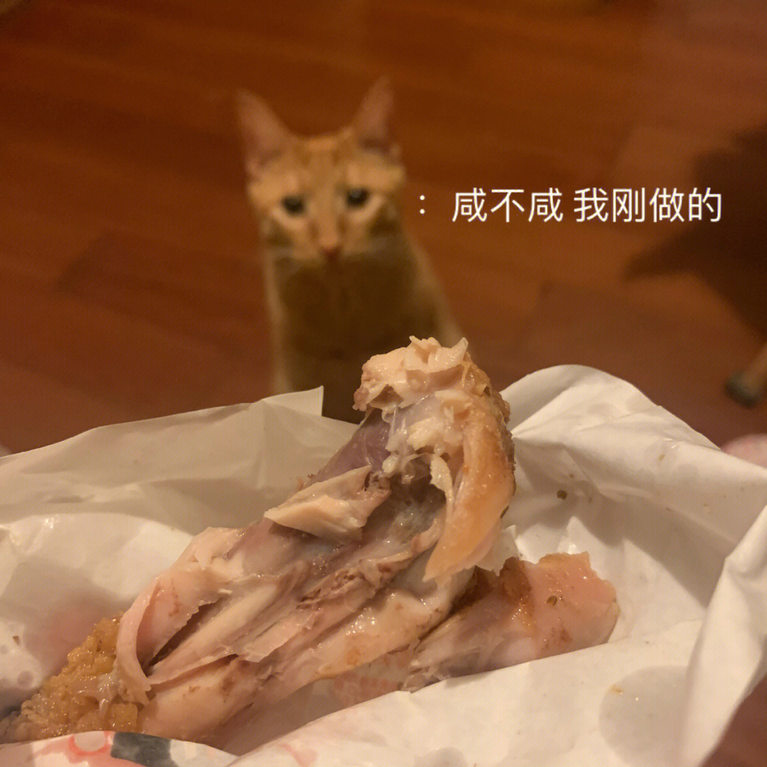 痛快收集了一波猫猫子表情包