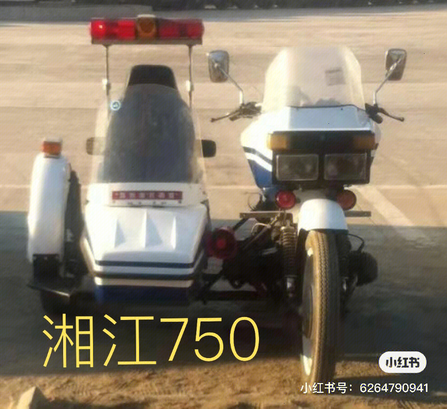 湘江300三轮摩托车图片