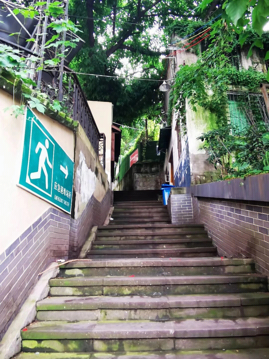 山城步道第一步道图片