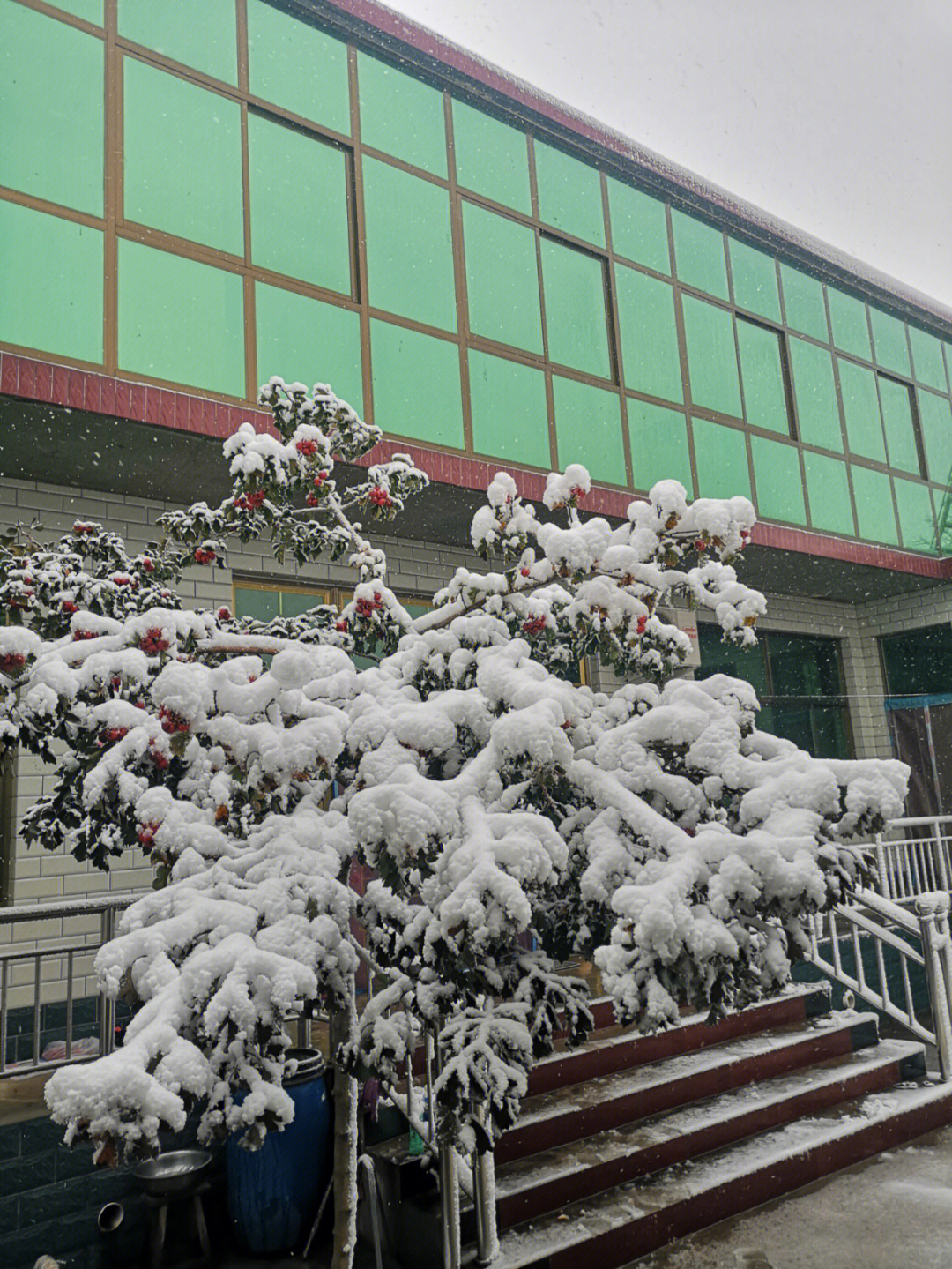 瑞雪兆丰年简谱图片