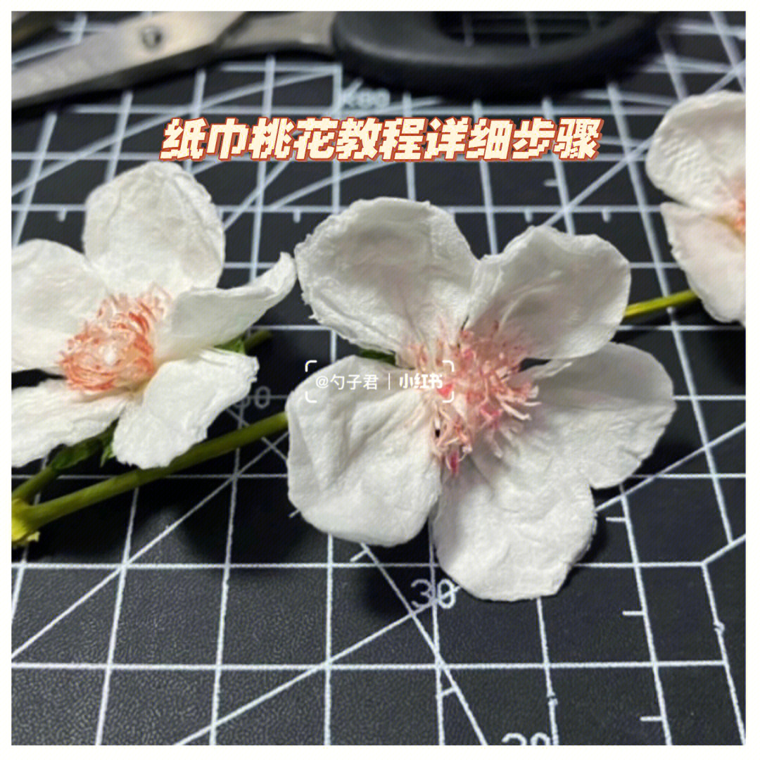 纸巾桃花详细步骤教程