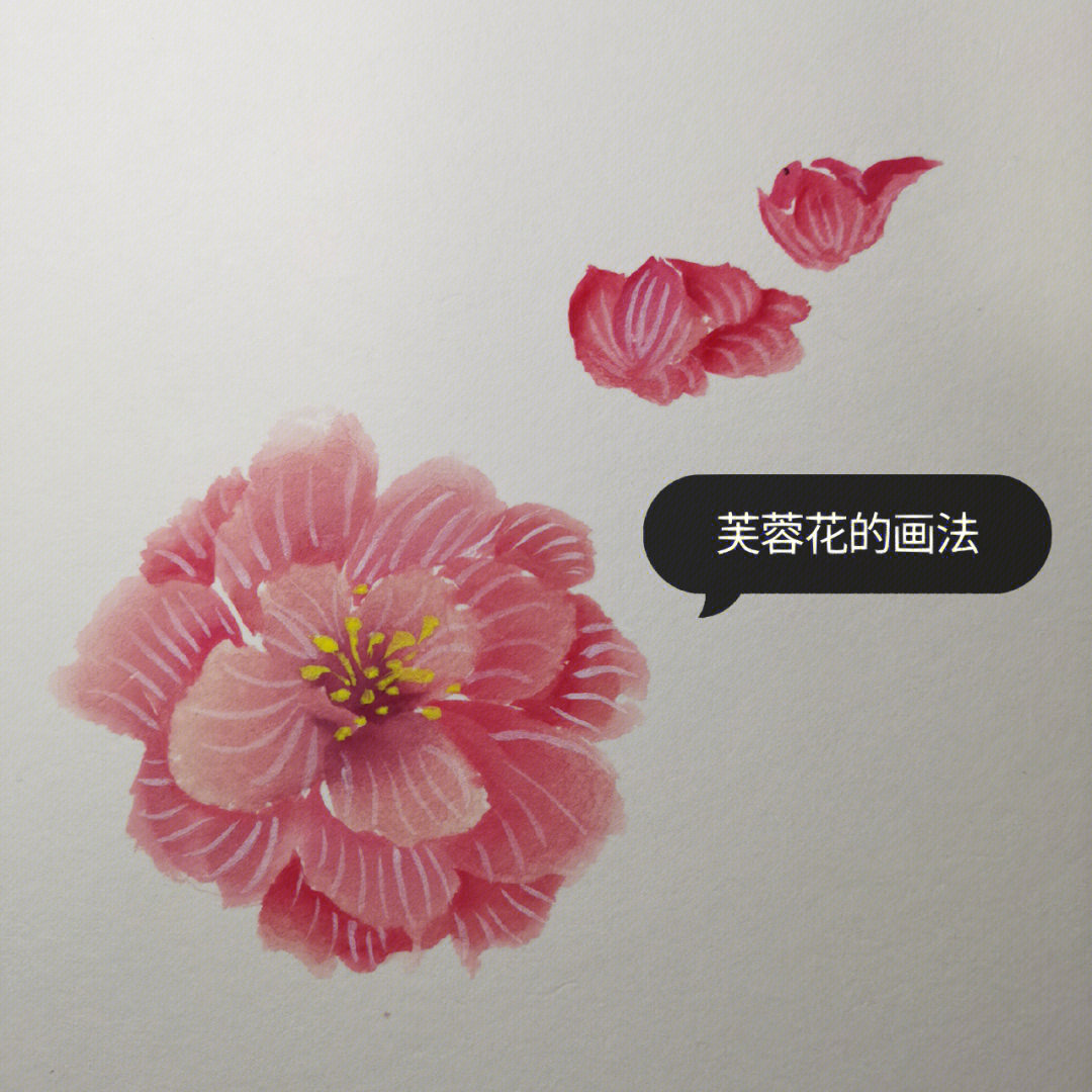 芙蓉花钩织教程图片