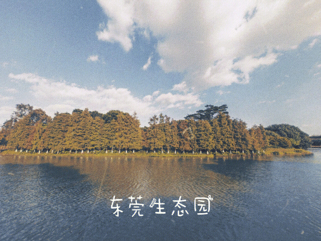 东莞湿地公园在哪里图片