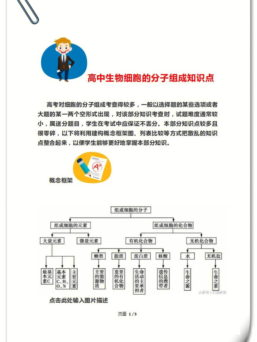 高中生物细胞的分子组成知识点