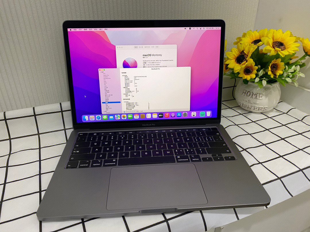 20款macbookpro英特尔图片