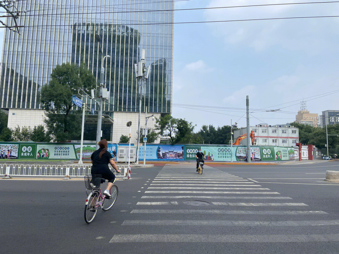 东直门网红树图片