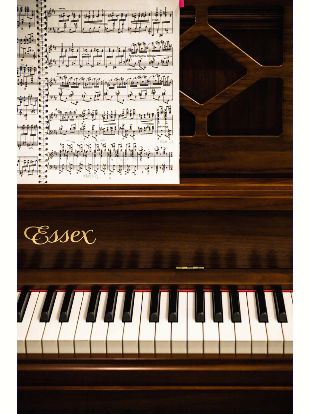 施坦威钢琴家族系列埃塞克斯eup116ec