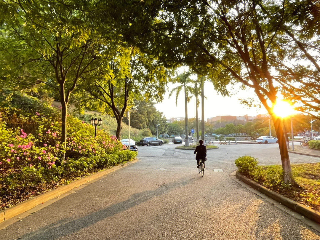 广州大学城的校园生活