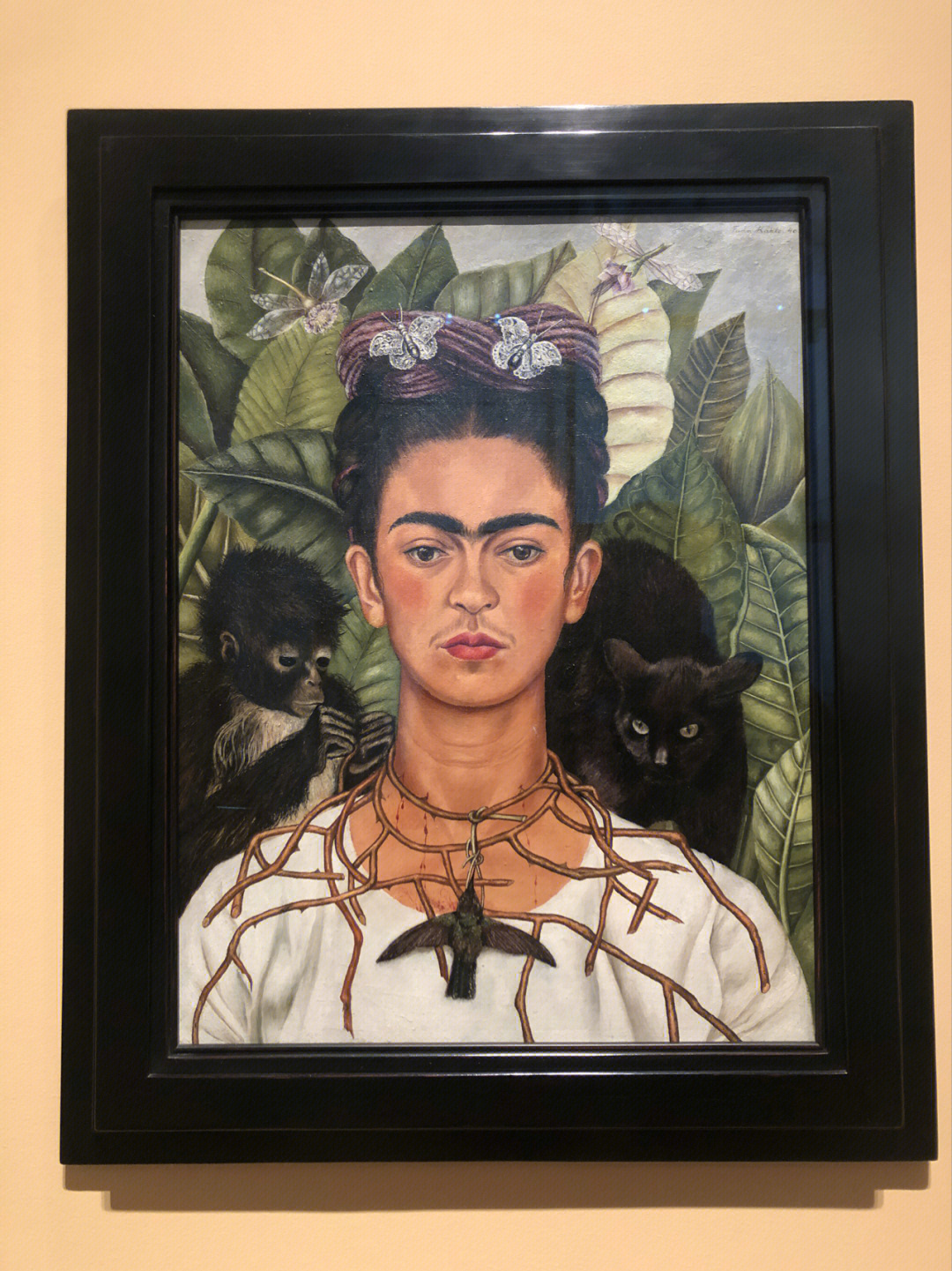 今天看了2002年美国拍摄的关于墨西哥女画家弗里达·卡罗(frida kahlo