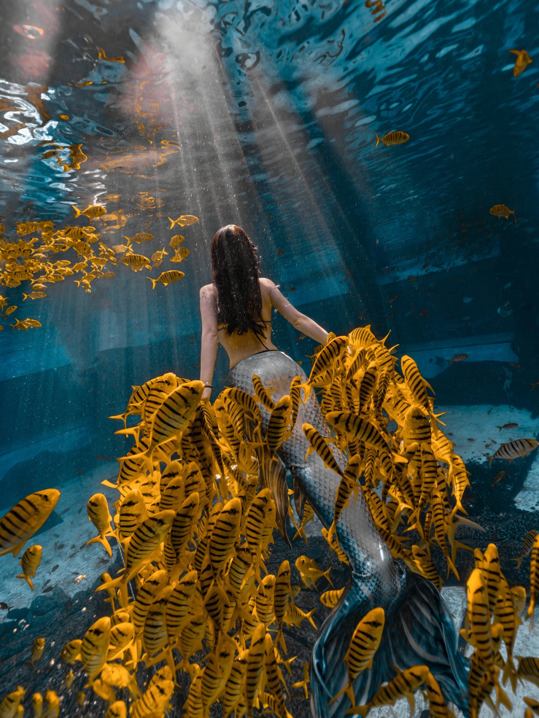 三亚小黄鱼海洋馆仅77880可体验美人鱼写真