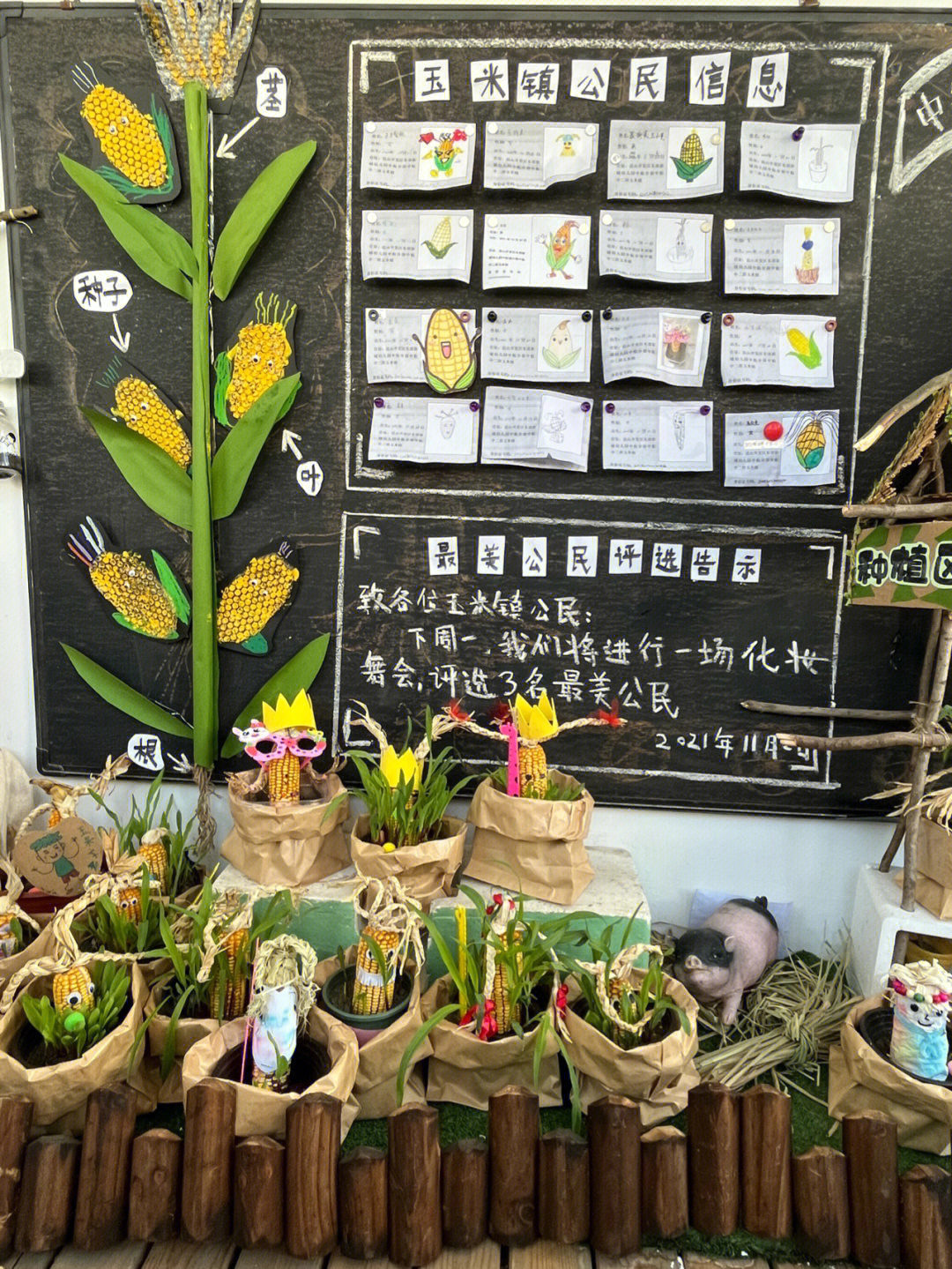 幼儿园玉米主题方案图片