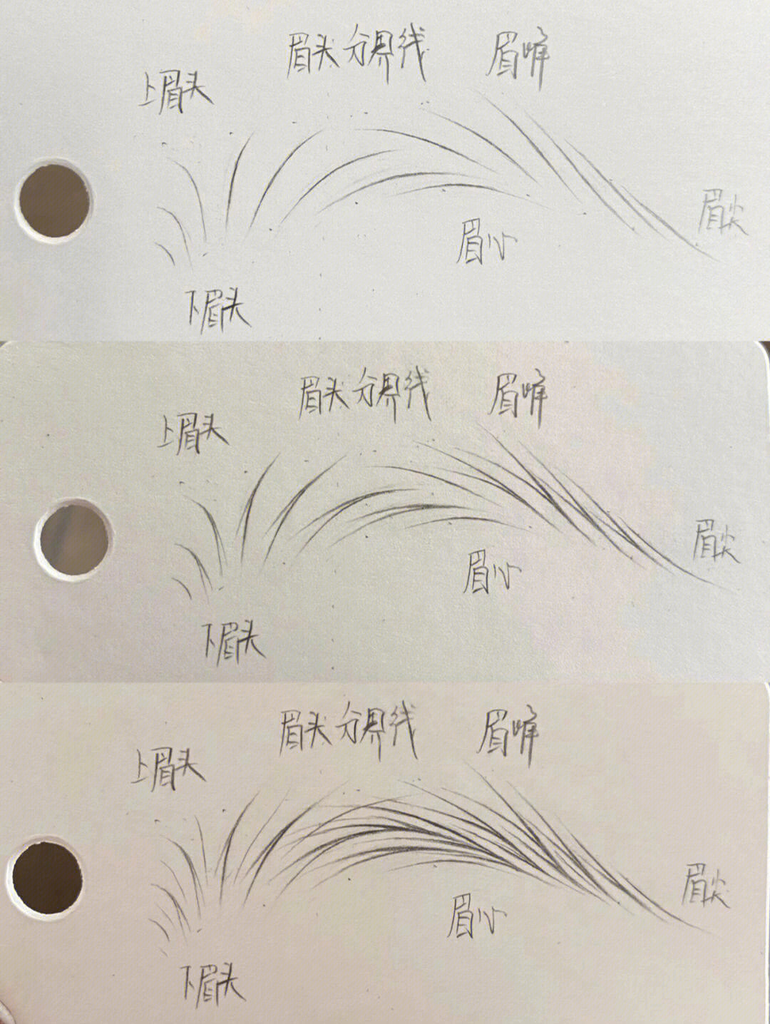 纹眉线条画法图片