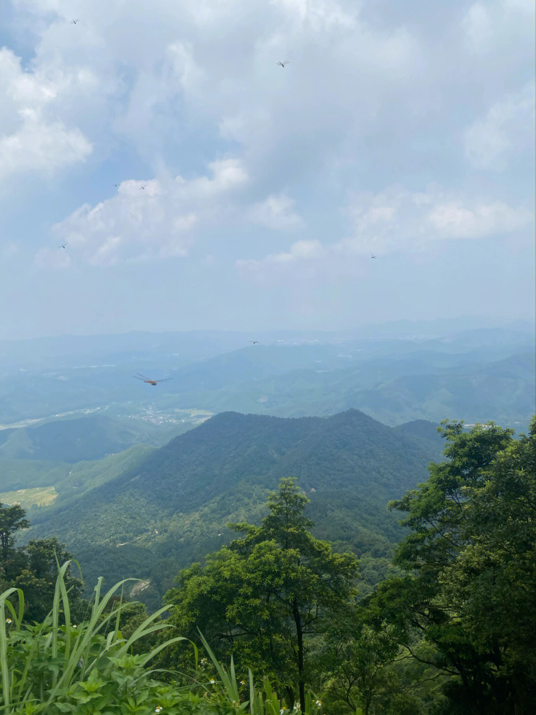 皂幕山海拔图片