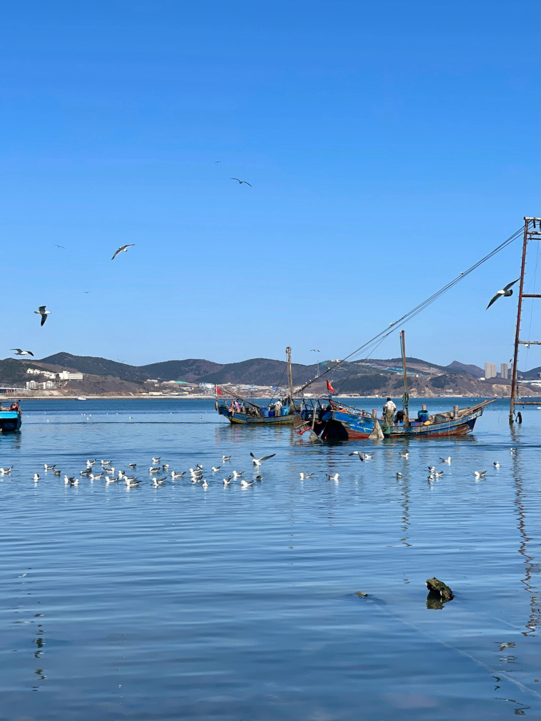 旅顺海水浴场图片