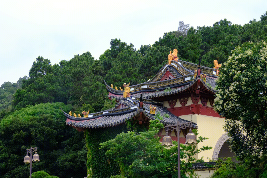 浙江舟山普陀山简介图片