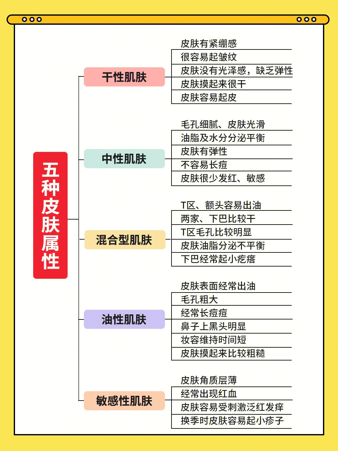 五大皮肤的分类图片图片