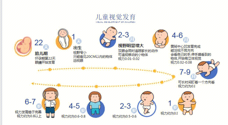 婴儿0到12个月视力距离图片