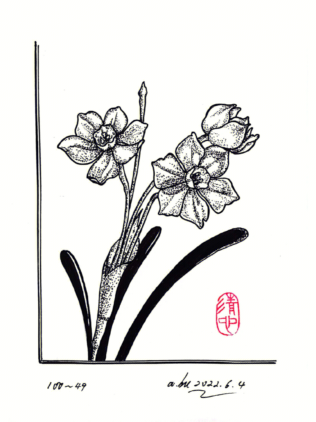 水仙花的样子手绘图片