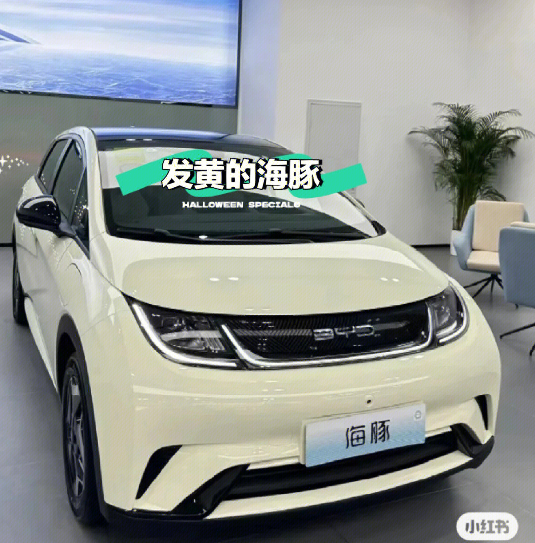 比亚迪海豚现车到店