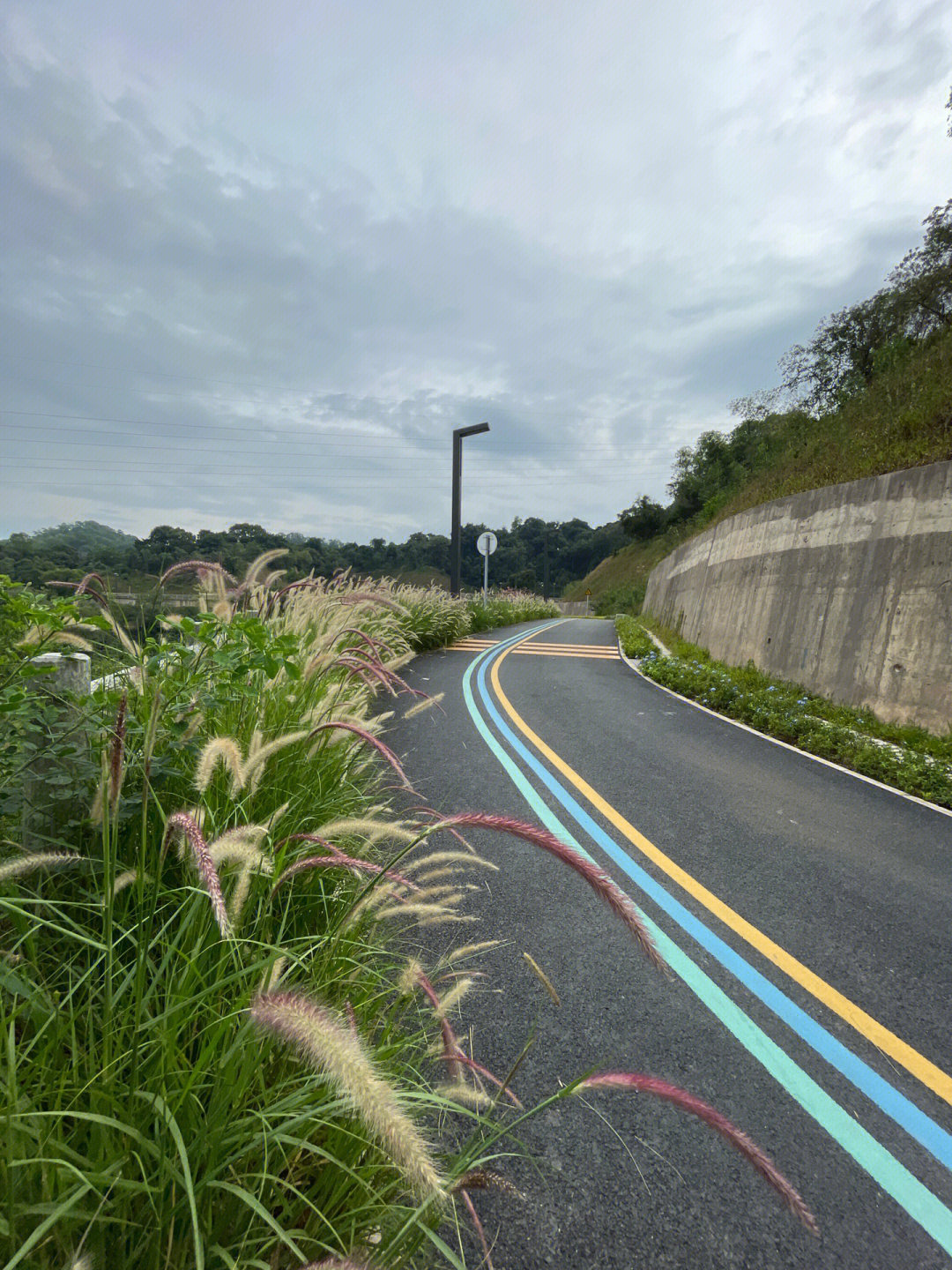 坂田雪竹径公园—三联水库绿道(途中可经过甘坑客家小镇