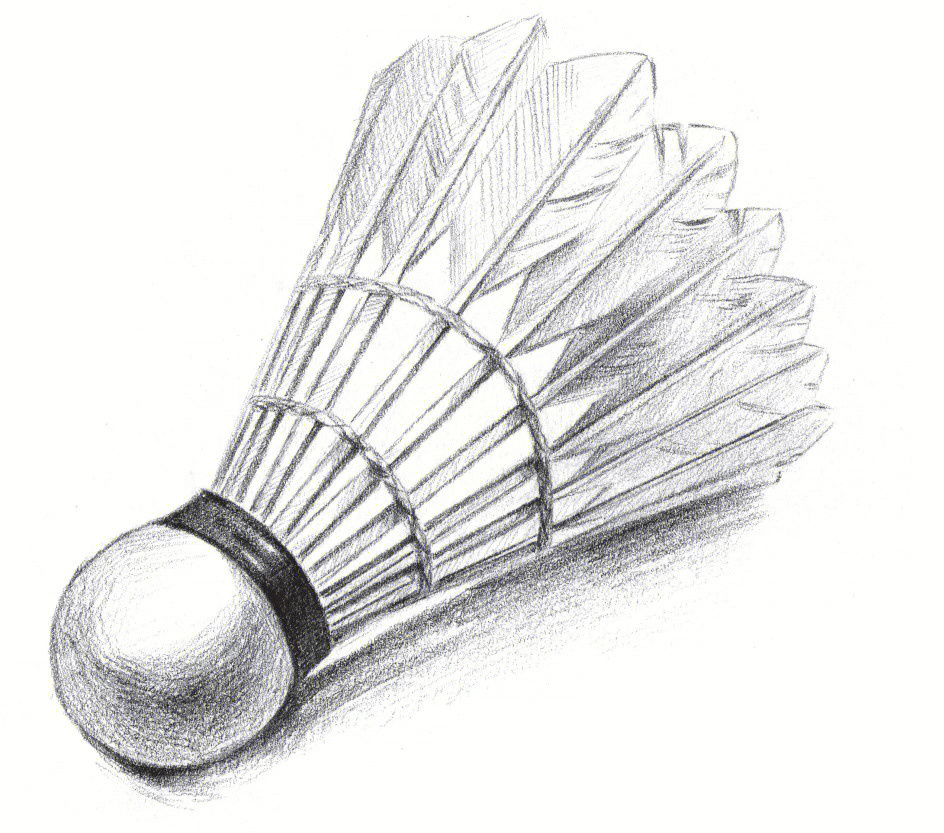 羽毛球设计素描图片