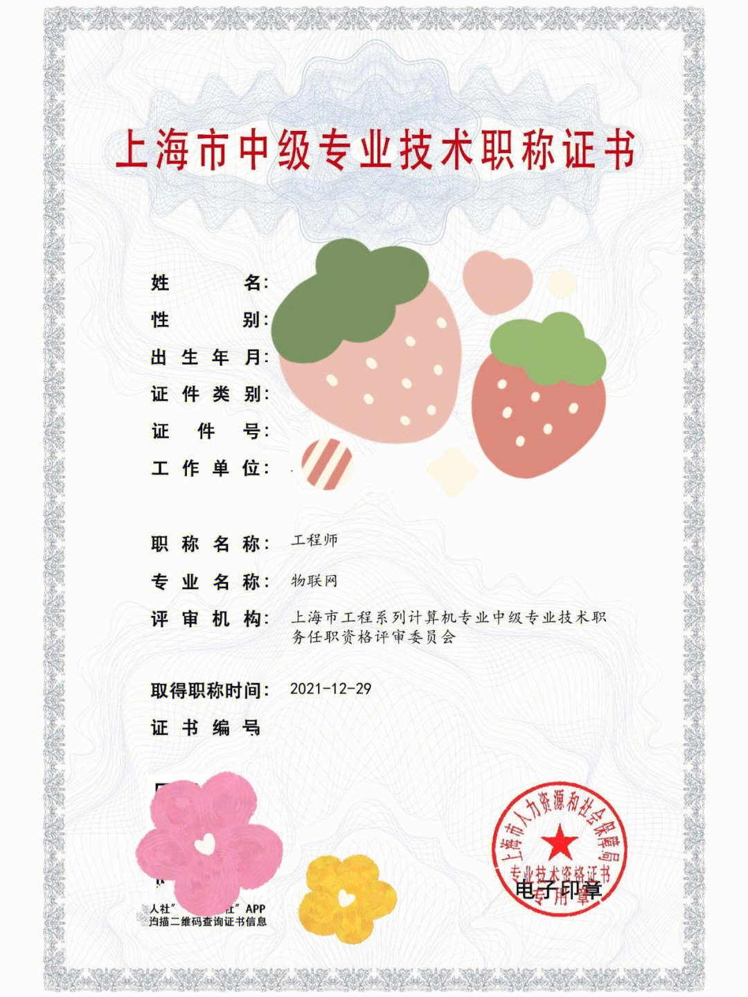 上海市计算机中级专业技术职称证书申请1