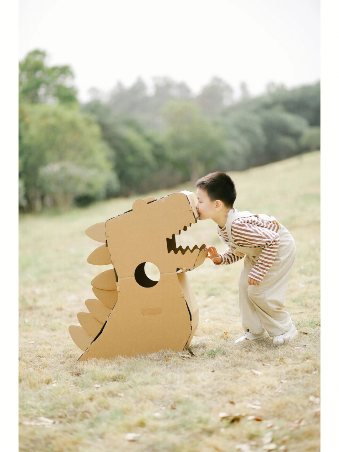 纸箱恐龙制作过程图片