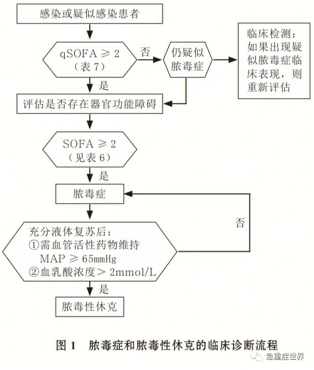 脓毒血症和败血症图片