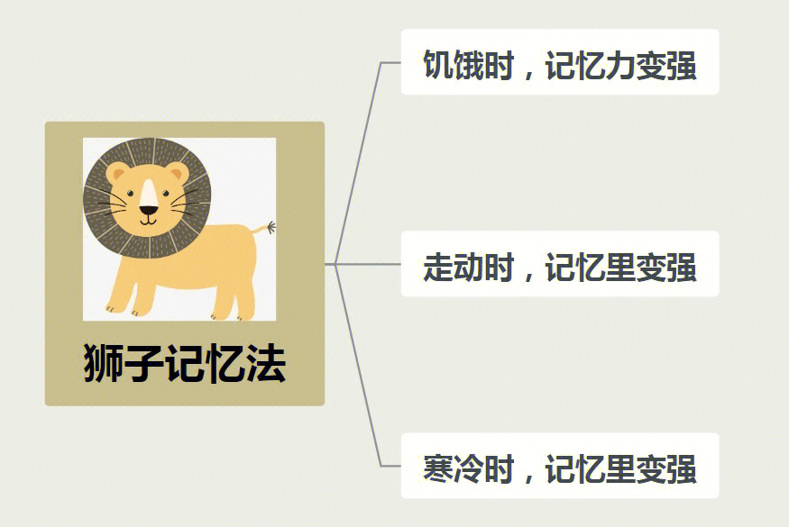 狮子记忆法3个小技巧让学习更轻松