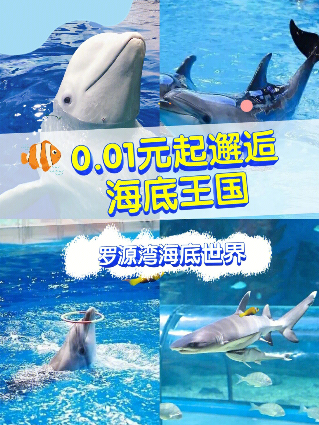 罗源湾海底世界0元解锁福州必去海洋馆