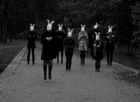 十只兔子