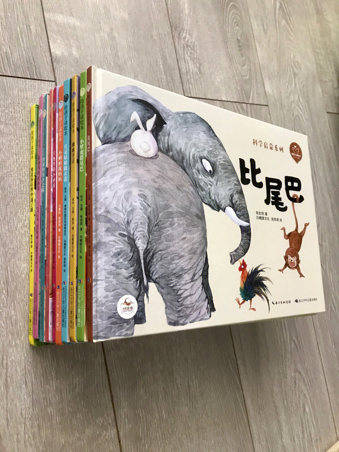 这套长江少年儿童出版社的科学启蒙系列买了一,二两套,共10册