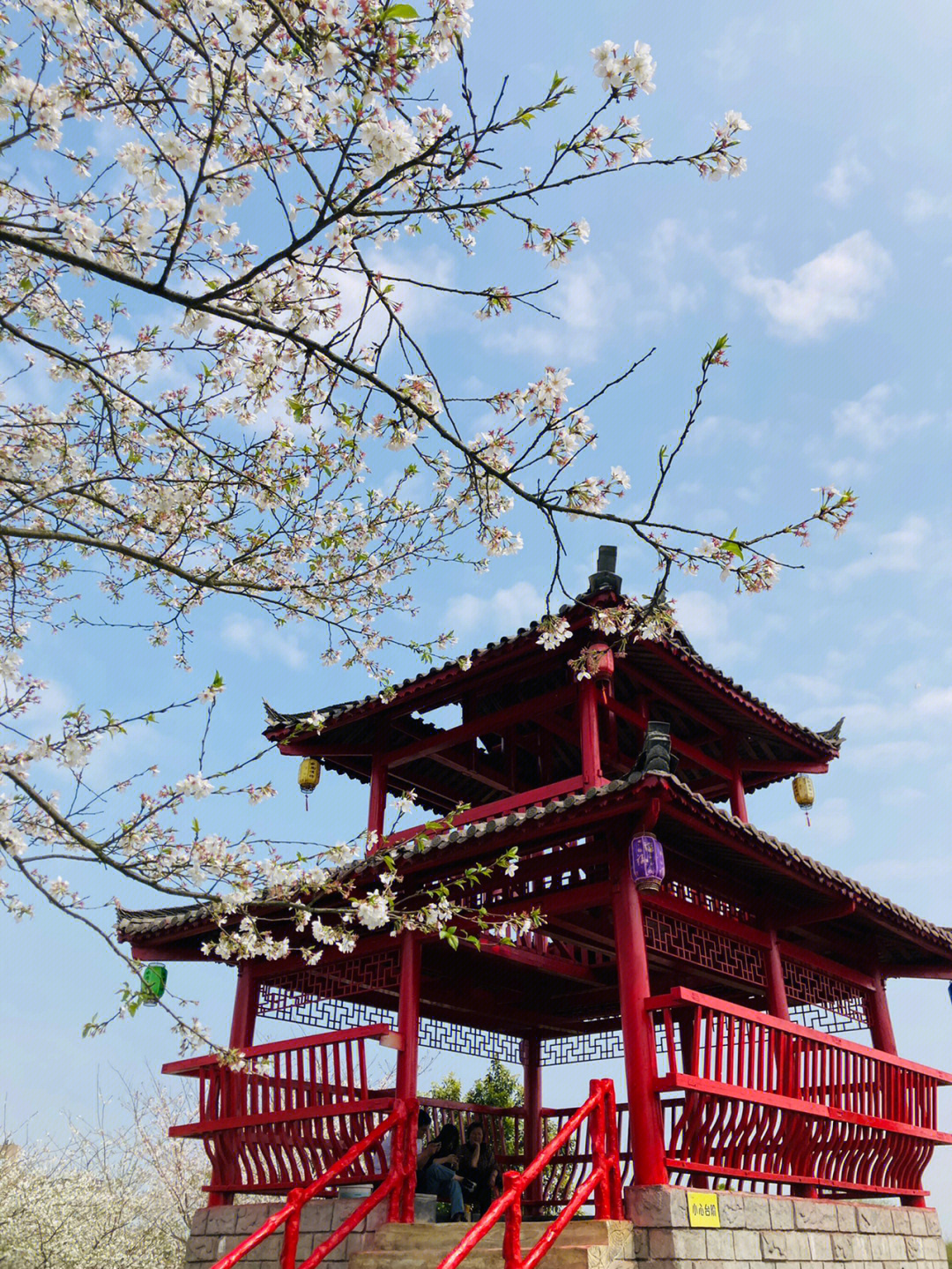 浔龙河樱花谷樱花节图片